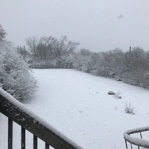 Meet your Posher, Casey